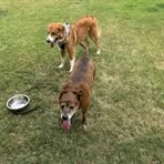 Wendy Friedman - Facebook