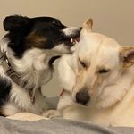 Wendy Friedman Lader - @mwlats - Instagram