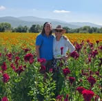 Wendy Kelly-Friedman - Facebook