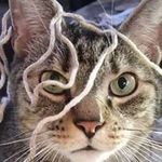 Wendy Porch Friedman - @porchfriedman - Instagram