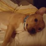 Wendy Schriener Friedman - @schrienerfriedman - Instagram