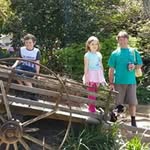 Wendy Gall - @wendy.gall - Instagram