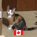 Wendy Gates - Facebook