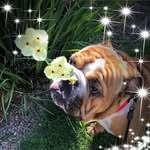 Wendy Thomas-Gates - @wendygates00 - Instagram