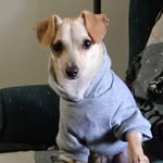 Wendy Gerber - @wgerber1 - Instagram