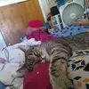 Wendy - @wendygerber98 - TikTok