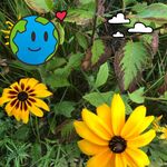 Wendy Gerdes Parliament - @wendyanneparliament - Instagram