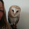 wendygildersleeve8 - @wendygildersleeve8 - TikTok