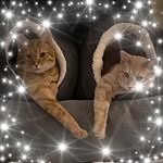 Wendy Gillette - @wgillette - Instagram