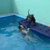 Wendy Glenn - @wendy.glenn0 - TikTok