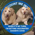 Wendy Gorham Kelley - @wendygorhamkelley - Instagram
