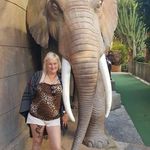 Wendy Chamberlain - @wendyanngower - Instagram