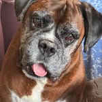 Wendy Grigg - @wickedwendy5 - Instagram