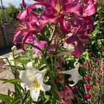 Wendy Griggs - @_wendy_griggs_ - Instagram