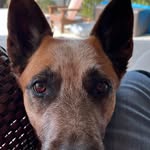 Wendy Griggs - @wendygriggs66 - Instagram