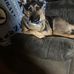 Wendy Guinn - Facebook