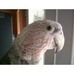 Wendy Hackett - Facebook