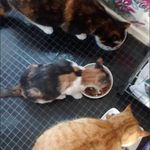 Wendy Hackett - @wendyhackett46 - Instagram