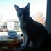 Wendy Hackett - Facebook