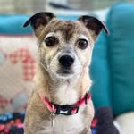 Wendy Haley - @loveable_wendy - Instagram