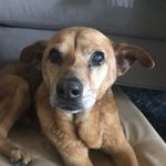 Wendy Haley - @breezy1972 - Instagram