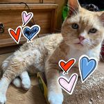 Wendy Handley - @wachand - Instagram