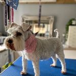 Wendy Hatch - @wendy.hatch - Instagram