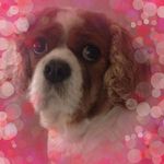Wendy Hatton - @wendy.hatton.5011 - Instagram