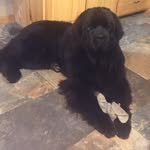 Wendy Hayman - @wendy.hayman.10 - Instagram
