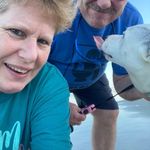 Wendy Headley Castanaro - @porcupine1217 - Instagram