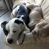 wendyhenseler397 - @wendyhenseler397 - TikTok