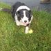 Wendy Herrick - Facebook