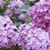 Wendy Herrick - @wendy.herrick - TikTok