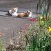 Wendy Herrick - Facebook