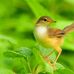 Wendy Herty - Facebook