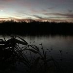 Wendy Hilliard - @wencrowe - Instagram