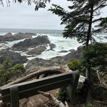 Wendy Hoff-Wyllie - @vanisle_2015 - Instagram