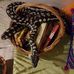 Wendy Holcombe - Facebook