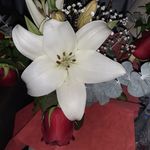 Wendy Holder - @wendy.holder3 - Instagram
