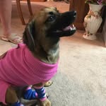 Wendy Hook - @ferretlover1962 - Instagram