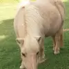 Wendy Huntley 🇦🇺 🦘🐨 - @wendy.huntley - TikTok