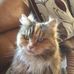 Wendy Ingham - Facebook