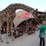 Wendy Ingham - @wendy.ingham4711 - Instagram