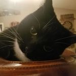 Wendy Ingham Boyle Cochrane - @wendy.i.cochrane - Instagram