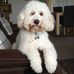 Wendy Ingle - Facebook