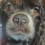 Wendy Ingle Rumley - @wrumley88 - Instagram