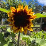 Wendy Irving - @wendywoo1969 - Instagram