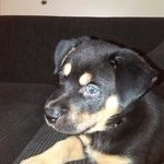 Wendy Scott-Irving - @scottirvingwendy - Instagram