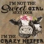 Wendy Jo Isbell - @wendy.isbell105 - Instagram