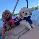 Wendy Young Isbell - @wendy_isbell - Instagram